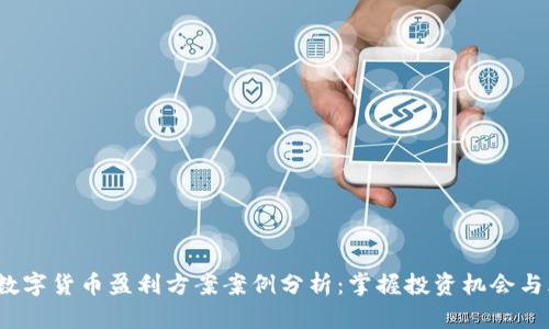2023年数字货币盈利方案案例分析：掌握投资机会与风险管理