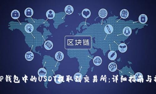 如何将TP钱包中的USDT提取到交易所：详细指南与操作步骤