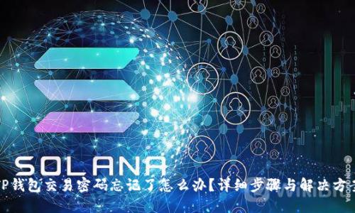 TP钱包交易密码忘记了怎么办？详细步骤与解决方案