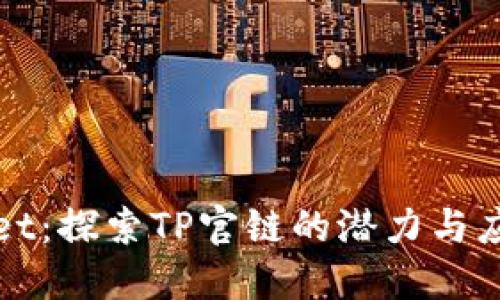 TPWallet：探索TP官链的潜力与应用价值