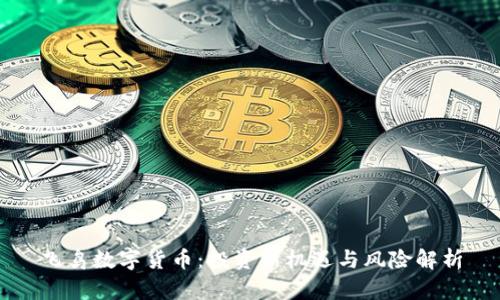 飞鸟数字货币：投资新机遇与风险解析