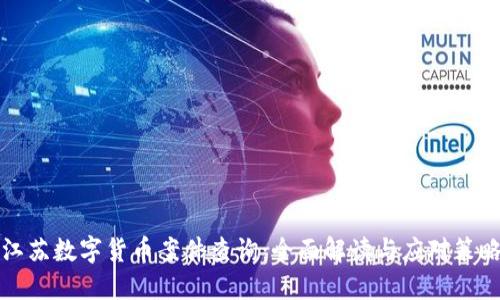江苏数字货币案件查询：全面解读与应对策略
