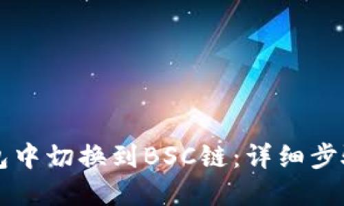 如何在TP钱包中切换到BSC链：详细步骤与用户指南