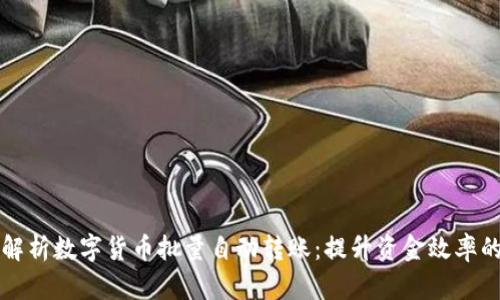 全面解析数字货币批量自动转账：提升资金效率的利器