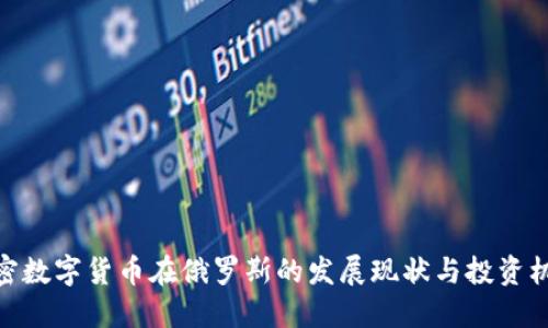 加密数字货币在俄罗斯的发展现状与投资机会