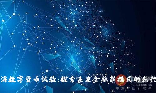 上海数字货币试验：探索未来金融新模式的先行者