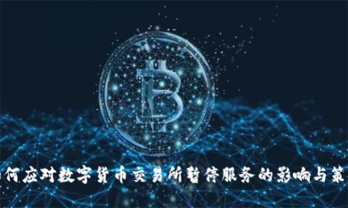 如何应对数字货币交易所暂停服务的影响与策略