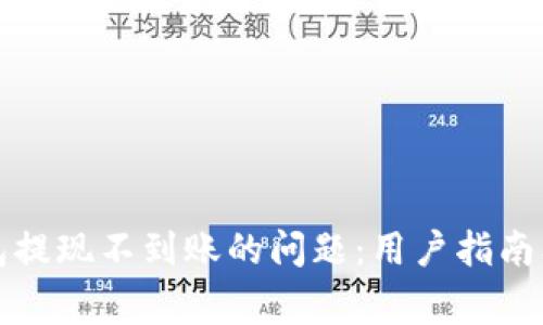 如何解决TP钱包提现不到账的问题：用户指南及常见解决方案