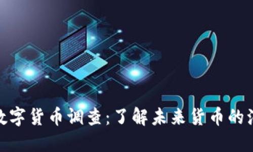 全球央行数字货币调查：了解未来货币的演变与影响