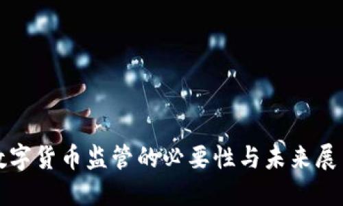 数字货币监管的必要性与未来展望