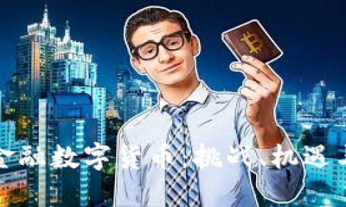 深入了解中国金融数字货币：挑战、机遇与未来发展趋势