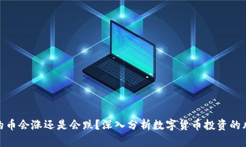 TP钱包里的币会涨还是会跌？深入分析数字货币投资的风险与机遇