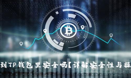 把币提到TP钱包里安全吗？详解安全性与操作步骤