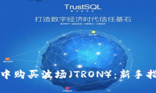 如何在TP钱包中购买波场（TRON）：新手指南与实用技巧