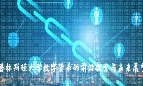 普林斯顿大学数字货币的前沿探索与未来展望