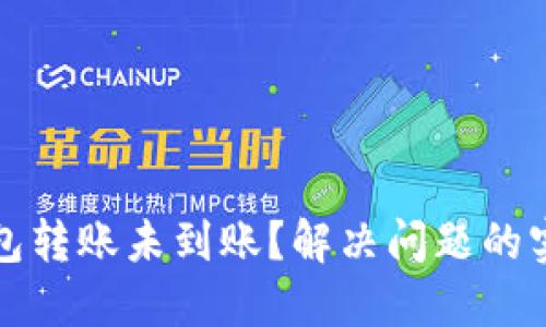 : TP钱包转账未到账？解决问题的实用指南