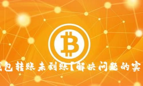 : TP钱包转账未到账？解决问题的实用指南