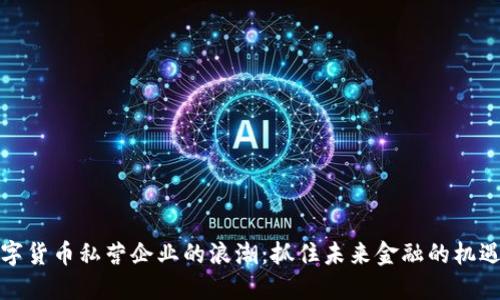 进入数字货币私营企业的浪潮：抓住未来金融的机遇与挑战