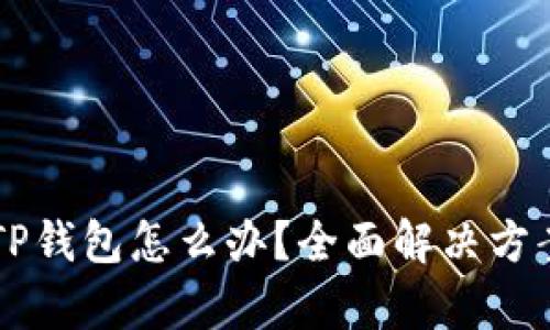 手机上没有TP钱包怎么办？全面解决方案与使用技巧
