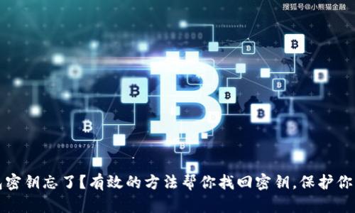 TP钱包密钥忘了？有效的方法帮你找回密钥，保护你的资产