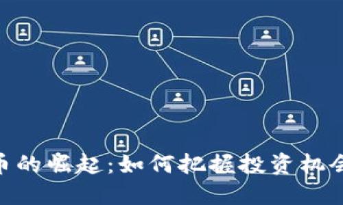 MVR数字货币的崛起：如何把握投资机会与价值增值