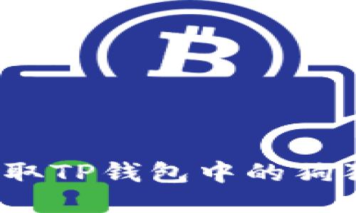 如何安全地获取TP钱包中的狗狗币合约地址？