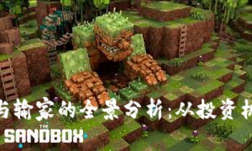 数字货币赢家与输家的全景分析：从投资机会到风险规避