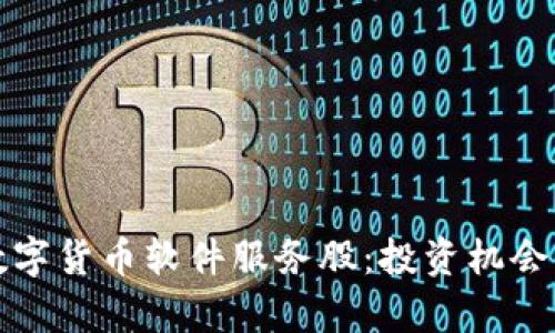 深入分析数字货币软件服务股：投资机会与市场前景