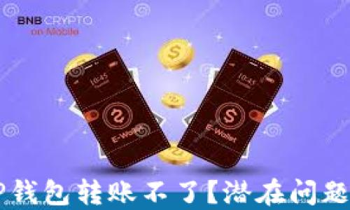 
为什么TP钱包转账不了？潜在问题解决指南