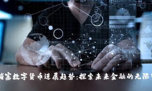 柬埔寨数字货币进展趋势：探索未来金融的无限可能