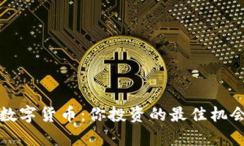 拥抱狗多多数字货币：你投资的最佳机会与价值解析