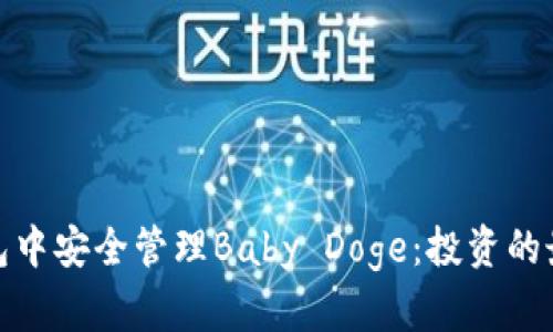 在TP钱包中安全管理Baby Doge：投资的最佳选择