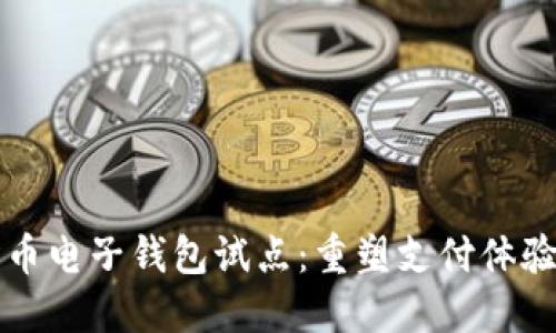 探索数字货币电子钱包试点：重塑支付体验与金融自由