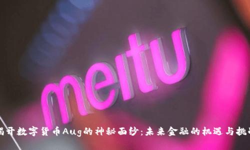 揭开数字货币Aug的神秘面纱：未来金融的机遇与挑战