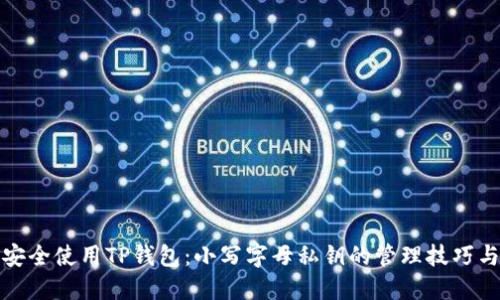 如何安全使用TP钱包：小写字母私钥的管理技巧与建议