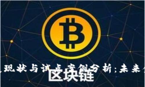 央行数字货币发展现状与试点案例分析：未来金融的趋势与机遇