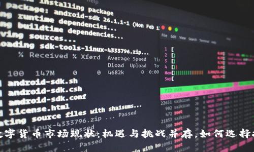 2023年数字货币市场现状：机遇与挑战并存，如何选择投资源向？