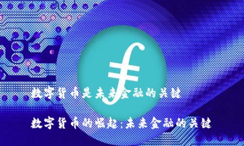 数字货币是未来金融的关键

数字货币的崛起：未来金融的关键