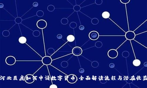 河北巨鹿如何申请数字货币：全面解读流程与潜在收益