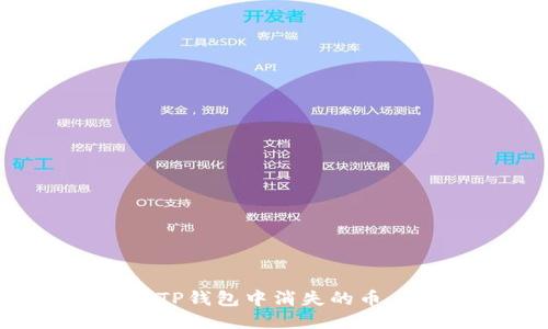 如何找回TP钱包中消失的币：全面指南