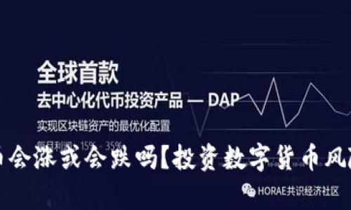 TP钱包里的币会涨或会跌吗？投资数字货币风险与机遇解析
