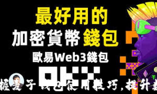 
imToken与TP：掌握麦子钱包使用技巧，提升数字资产管理效率