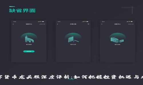 数字货币龙头股深度评析：如何把握投资机遇与风险
