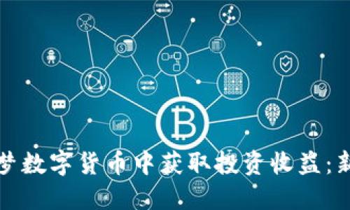 如何在云之梦数字货币中获取投资收益：新手必看指南