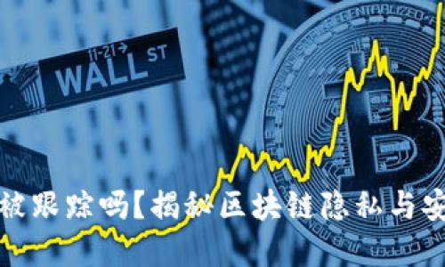 tp钱包转币会被跟踪吗？揭秘区块链隐私与安全的关键因素