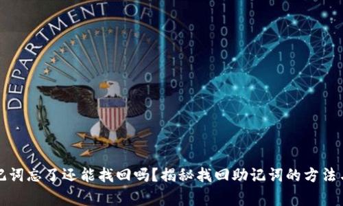 TP钱包助记词忘了还能找回吗？揭秘找回助记词的方法与注意事项