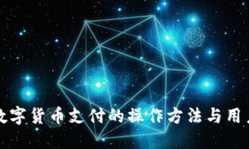 央行数字货币支付的操作方法与用户指南