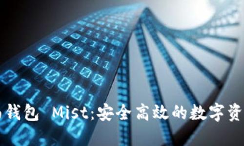 以太坊图形界面钱包 Mist：安全高效的数字资产管理解决方案