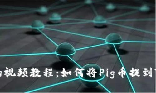 详尽的视频教程：如何将Pig币提到TP钱包