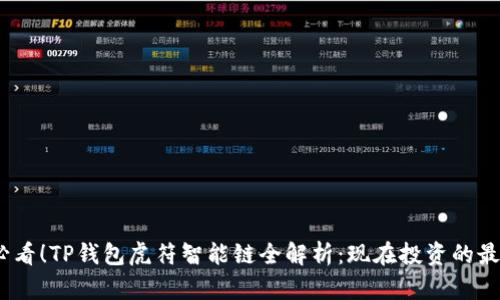 2025必看！TP钱包虎符智能链全解析：现在投资的最佳选择